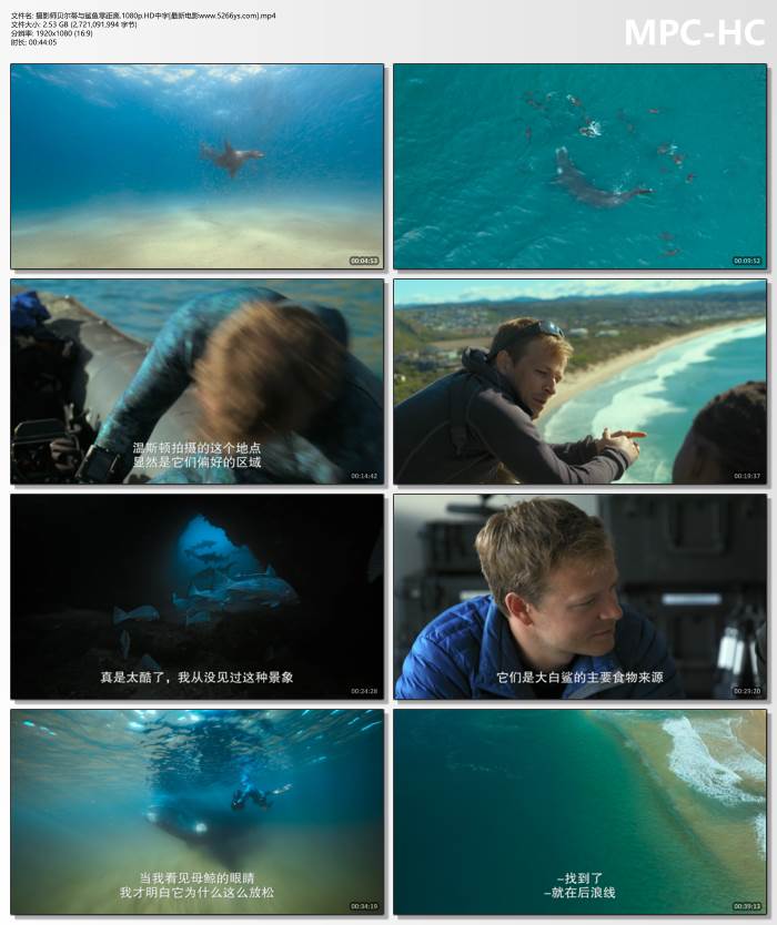 荒诞感手艺人档案